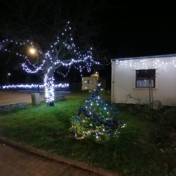 IMG_20251224_130823 (1)